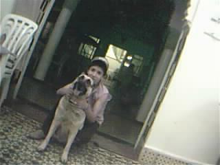 ces moi est ma chienne qui s'appelle diana